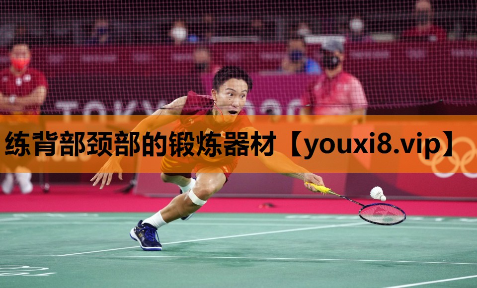 练背部颈部的锻炼器材