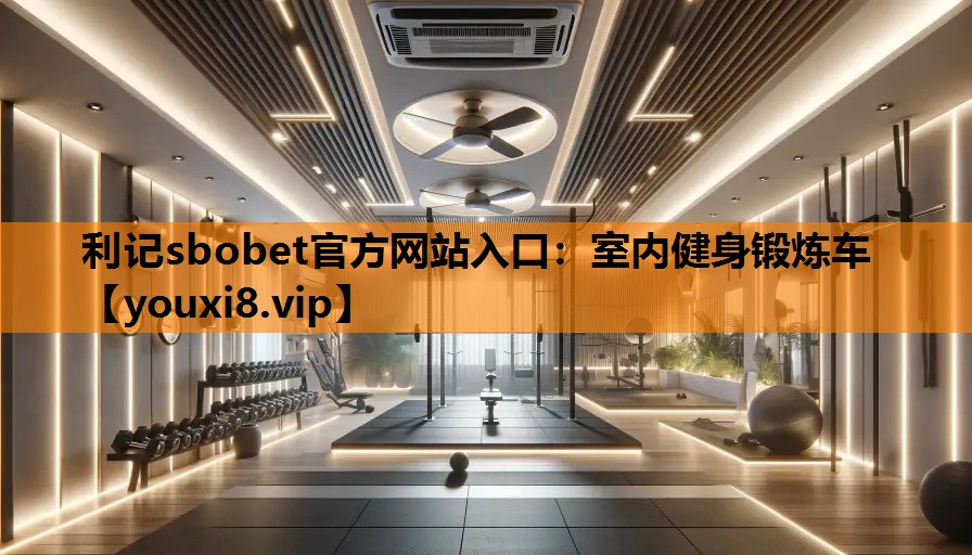 利记sbobet官方网站入口：室内健身锻炼车