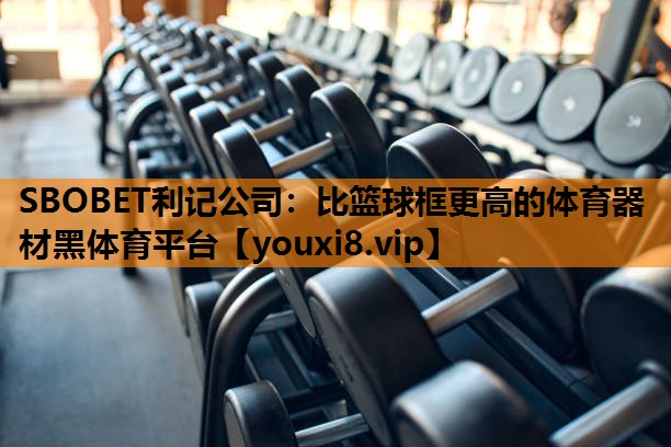 SBOBET利记公司：比篮球框更高的体育器材黑体育平台