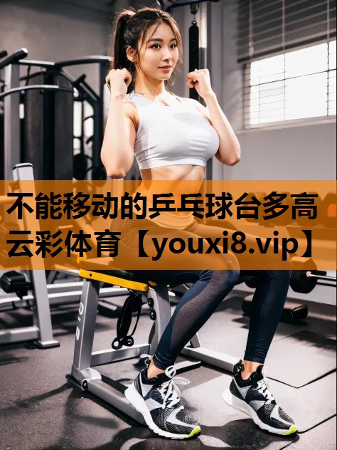 不能移动的乒乓球台多高云彩体育