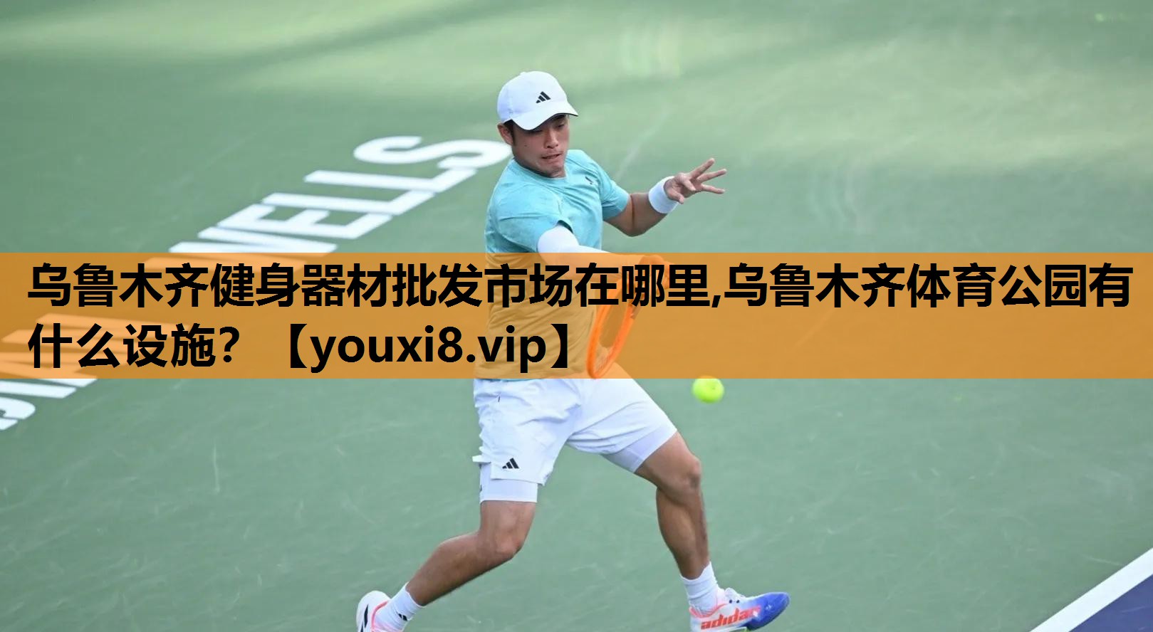 乌鲁木齐健身器材批发市场在哪里,乌鲁木齐体育公园有什么设施？