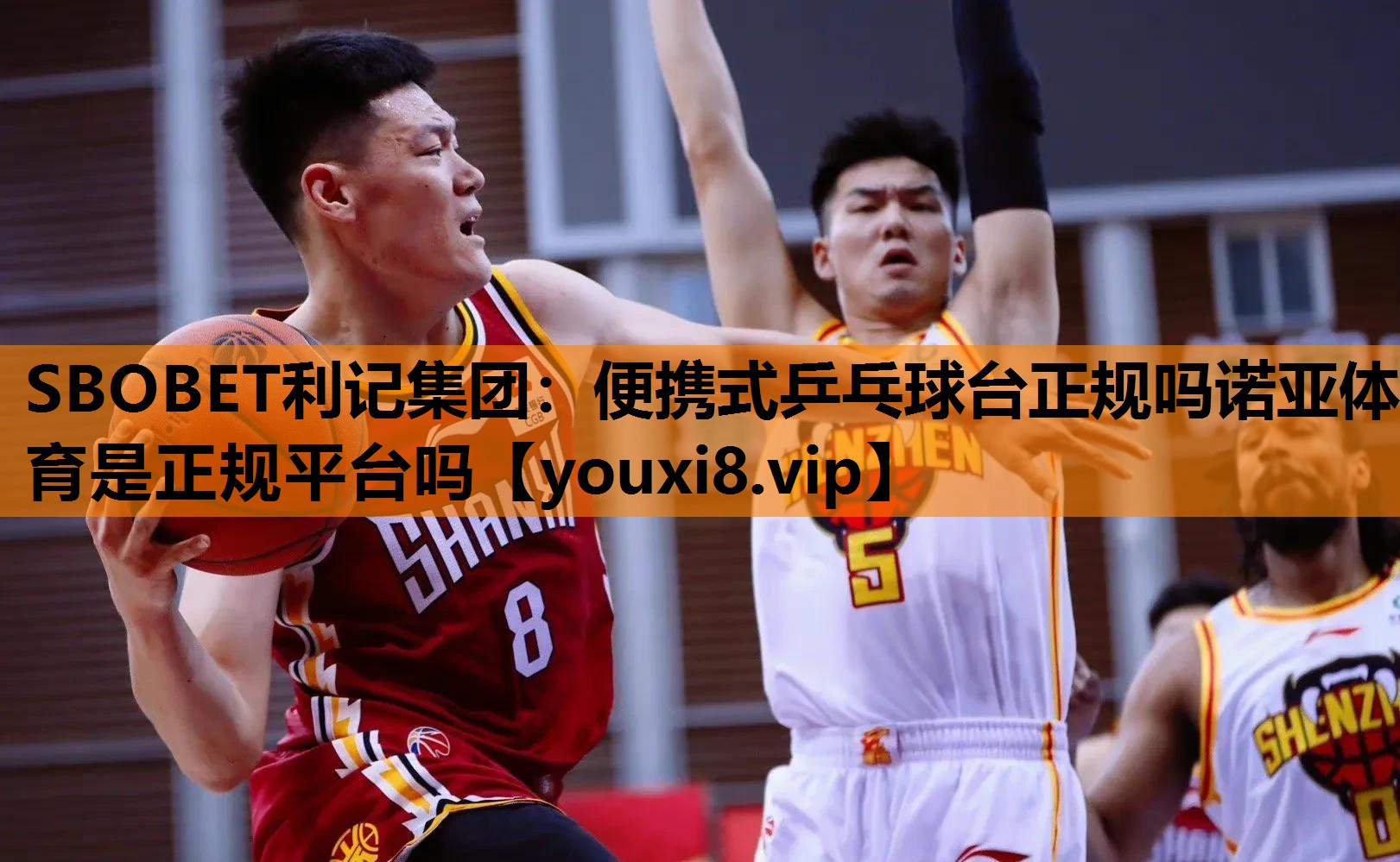SBOBET利记集团：便携式乒乓球台正规吗诺亚体育是正规平台吗