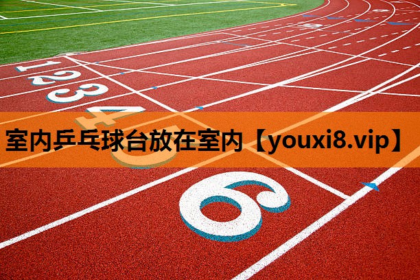 室内乒乓球台放在室内