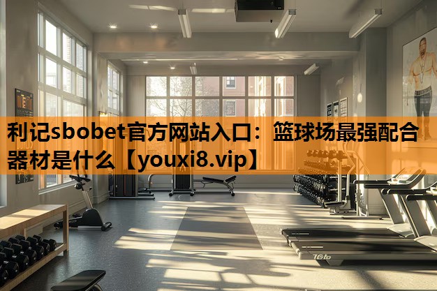利记sbobet官方网站入口：篮球场最强配合器材是什么