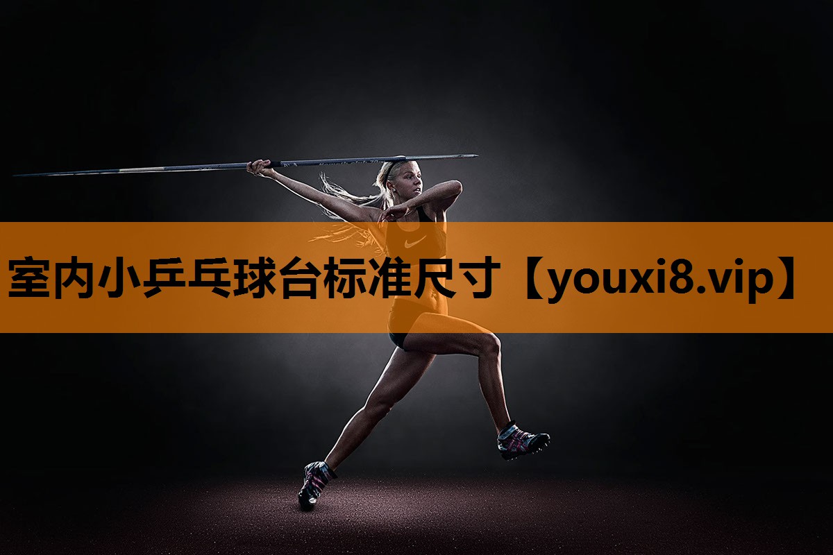 室内小乒乓球台标准尺寸